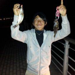 大阪南港ワインド・落とし込みでキャッチ！