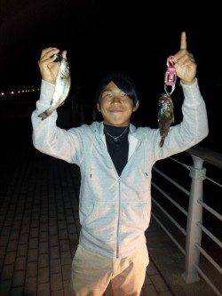 大阪南港ワインド・落とし込みでキャッチ！