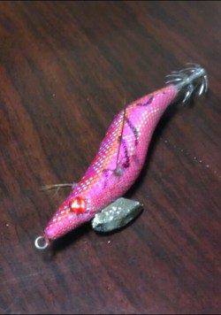 白灯台にてシーバス狙い後のエギング