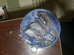 南芦屋浜　ウキ釣りでタチウオ