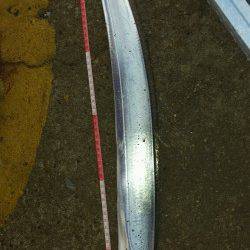 大阪南港にてウキ釣りでタチウオ