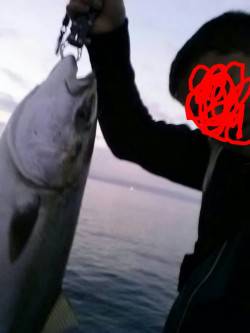 ワインドでの太刀魚狙いでブリがヒット！！