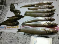 遠出し落ちギス狙いで姫路の網干港へ