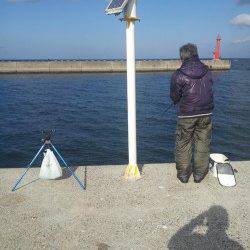 都志　呑ませ釣りでスズキ☆　サビキはアジが200尾の釣果