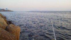 本荘人工島の穴釣りでアイナメ&ガシラ