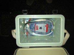 本荘人工島ルアーでタチウオ、早朝の方が良型でした