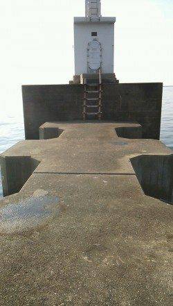 武庫川河口　エビ撒き釣りでハネ40cm☆