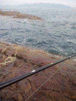 御坊・カツオ島・沖の鼻でヤエン・エギングの釣果