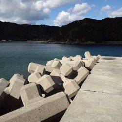 小浦崎へフカセ釣りに