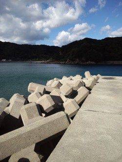 小浦崎へフカセ釣りに