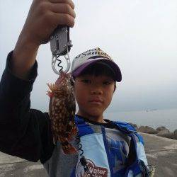 高砂港の探り釣りでガシラ