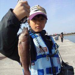 東二見でコブダイ・タケノコメバル・ガシラ