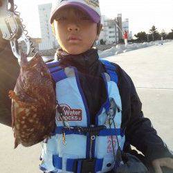 東二見でコブダイ・タケノコメバル・ガシラ