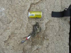 網干浜北東面　サゴシは不発でタコ釣りに変更…