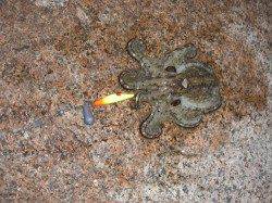 飾磨～広畑　オクトパッシングでのイイダコ狙い☆