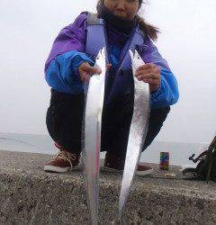 岸和田一文字　タチウオはエサでもルアーでも釣果あり