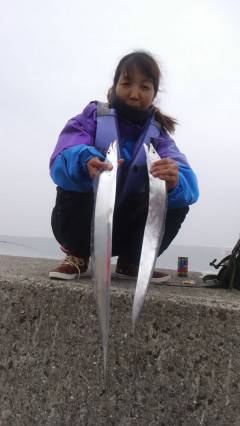 岸和田一文字　タチウオはエサでもルアーでも…