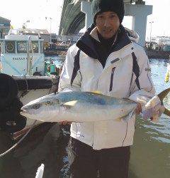 岸和田一文字　のませでメジロ＆スズキ