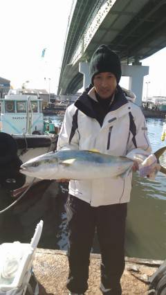 岸和田一文字　のませでメジロ＆スズキ