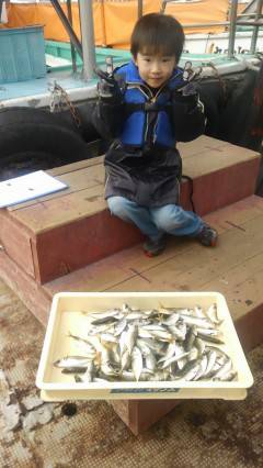 岸和田一文字　サビキで〜18cmのアジを約…