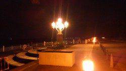 舞洲で夜中の短時間アジング