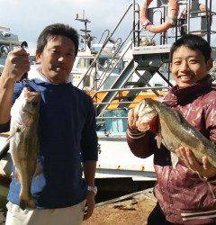 飲ませ釣りでスズキ快釣！旧一文字白灯