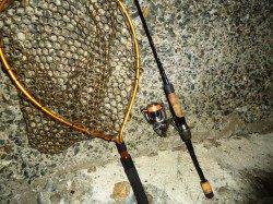 高砂埋立地でのアジング釣果　