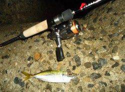 貝塚アジングゲーム、針はアッパーカット！