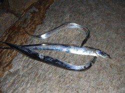 南芦屋浜にて基本に忠実にタチウオワインド