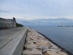 南芦屋浜でのワインド釣果