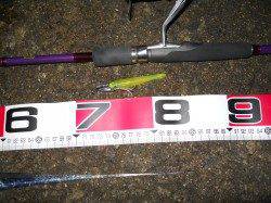 りんくうでワインド　ショートバイトが多かったです