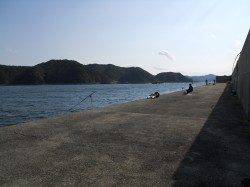 小浦一文字での探り釣りでカワハギ