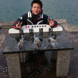 衣奈、渡船を使ってヤエンでアオリ狙い！