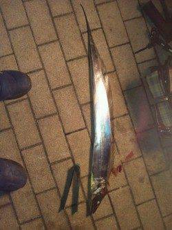 【全て良型】冬を感じるタチウオワインド釣行　