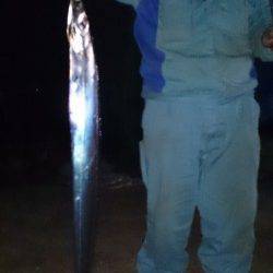 築港のワインドでドラゴンきましたぁ(^^)v