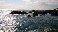 美浜の磯でフカセ釣りの釣果