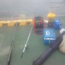 田ノ浦漁港の内海にて紀州釣り、チヌ4枚♪