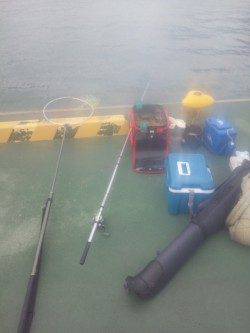 田ノ浦漁港の内海にて紀州釣り、チヌ4枚♪