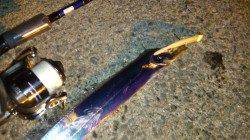 助松埠頭でタチウオワインド、表層付近でヒット！