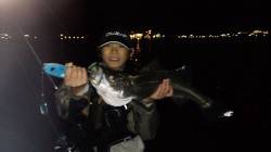 天橋立で親子でシーバスゲーム！70cmのナ…