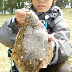 シーバス狙いで良型カレイがヒット