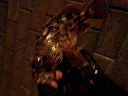 舞洲　深夜のアジングでアジ〜18cm＆ガシラ