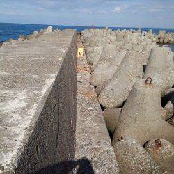 谷川漁港　エギング・キスは撃沈　SLシンカーでメバル＆ベラ