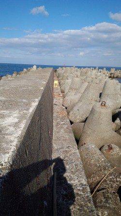 谷川漁港　エギング・キスは撃沈　SLシンカーでメバル＆ベラ