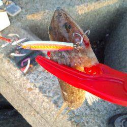 助松埠頭でタチウオ　スローワインドでヒット