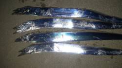 雑賀崎でタチウオのウキ釣り