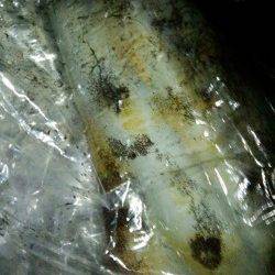 ドリフトさせ潮に乗せて良型アオリイカゲット！