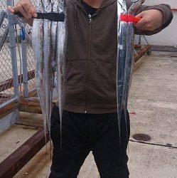 神戸港でタチウオ狙い、二人で13本をゲット