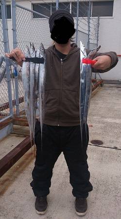 神戸港でタチウオ狙い、二人で13本をゲット