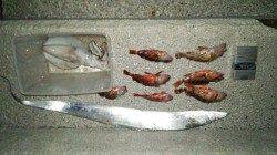 和歌山マリーナシティ、ウキ釣り＆エギング釣果